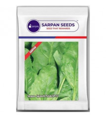 Spinach / Palak Sarpan SP 11 - 250 grams